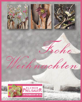 Frohe Weihnachten 2016 wünscht Blumen Prelisauer 